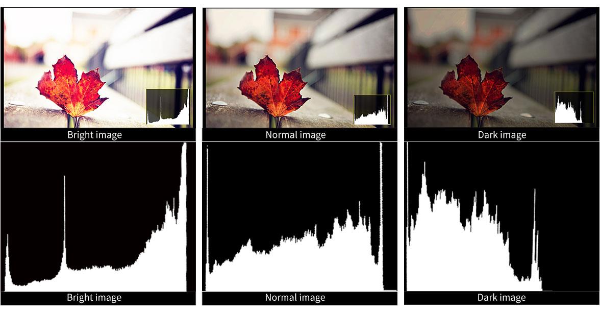 FW760 Brightness Histogram